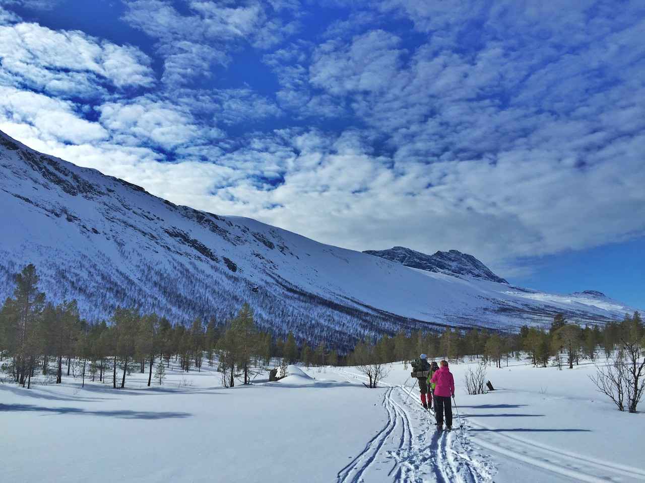 Cross country skiing in Beisfjord, Nordland