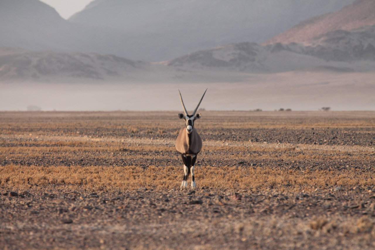 Namib Naukluft National Park