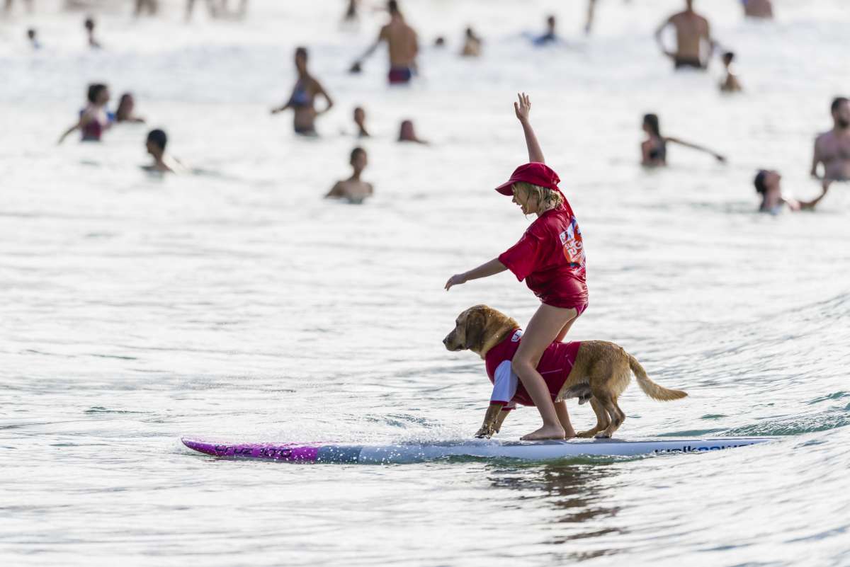 Noosa Festival of Surfing - sufer boy with dog