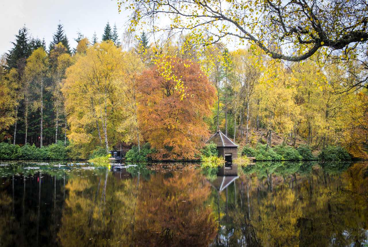 Lake in Faskally Wood, Scotland